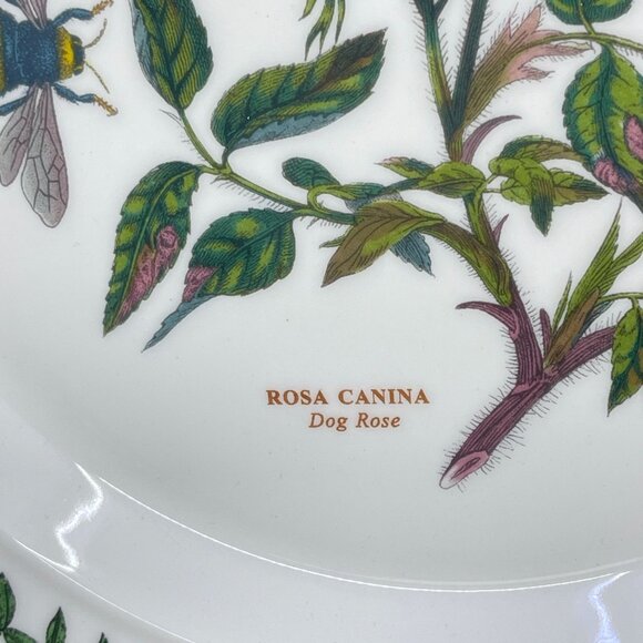 portmeirion botanic garden collection salad plate "rosa canina dog rose" pattern - Picture 5 of 8